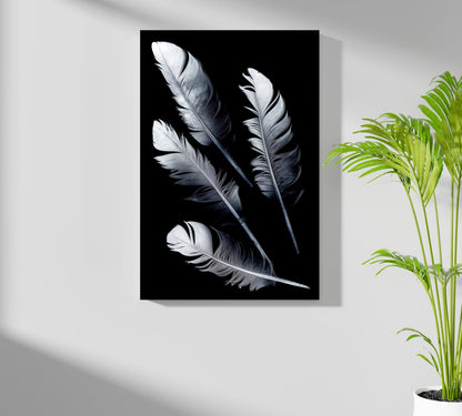 Feathers Aluminum Print