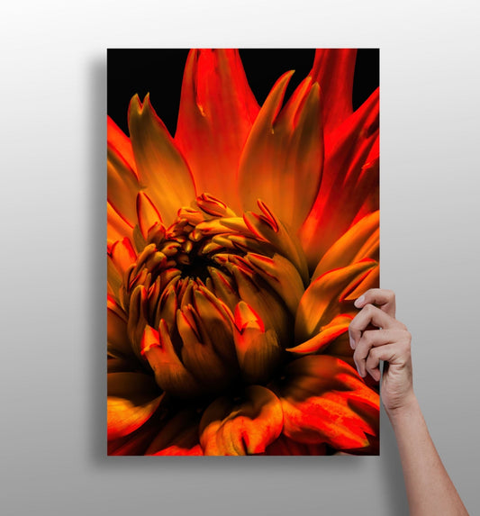 Elderflower metal wall art print with vivid floral color