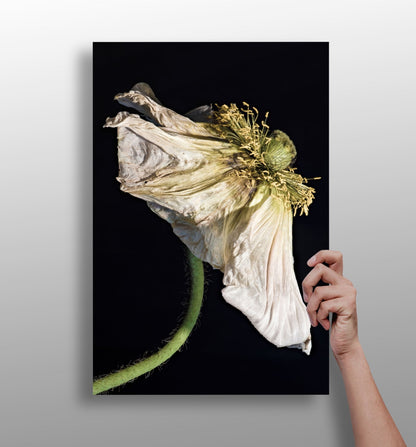 Flower Metal Wall Art