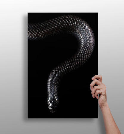 Black Snake metal wall art print with striking design
