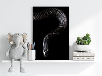 Black Snake Metal Wall Art