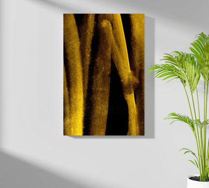 Shade of Gold Aluminum Wall Art