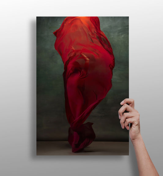 Ballet Dancer Aluminum Wall Art