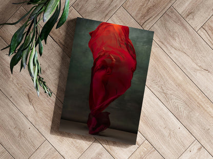 Ballet Dancer Aluminum Wall Art