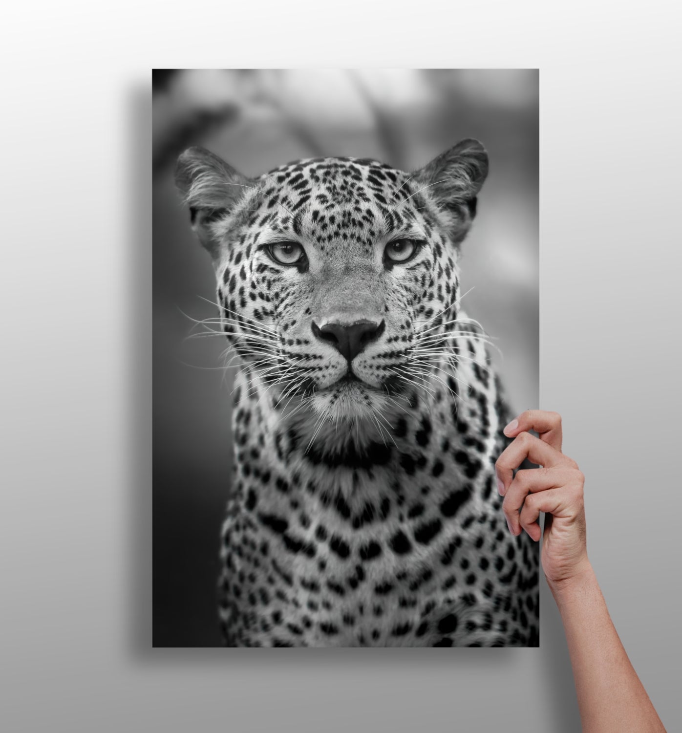 Leopard aluminum wall art matte finish