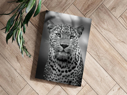 Leopard Aluminum Wall Art
