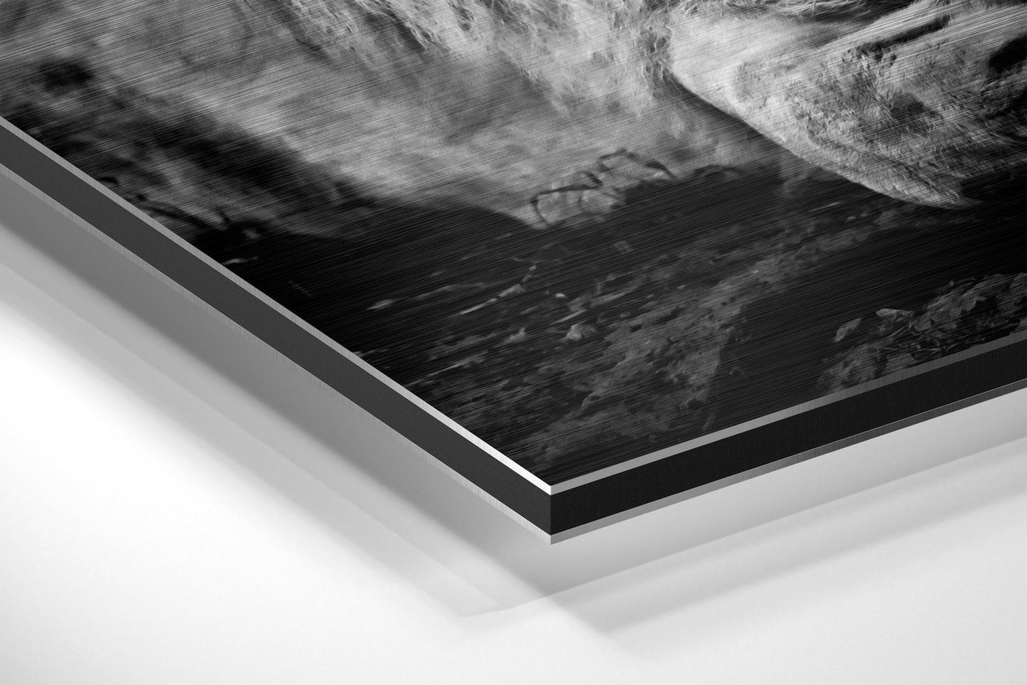 Black and White Resting Lion Metal Wall Art