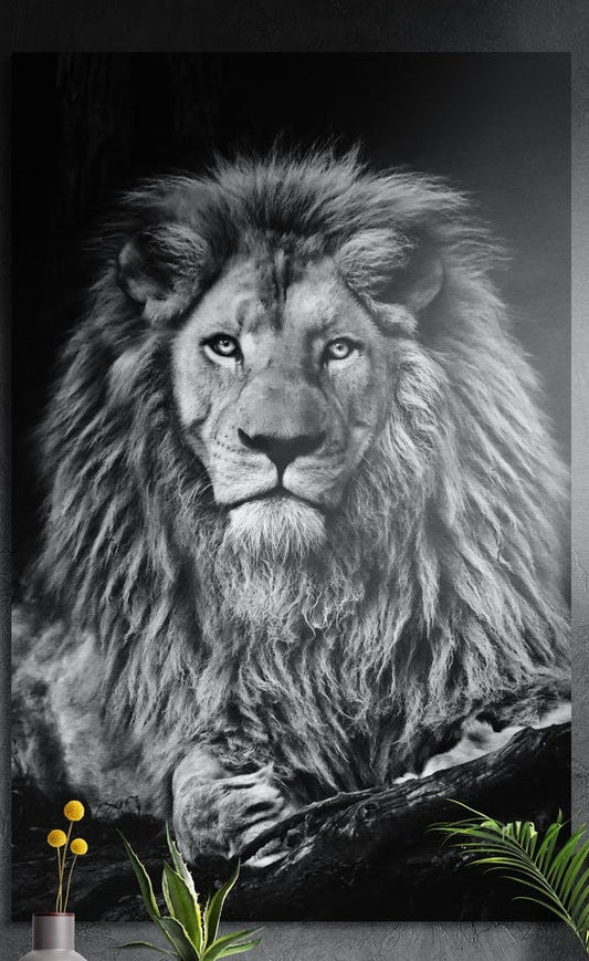 Black and white male lion resting on a log, brushed aluminum wall art on a gray wall above yellow flowers