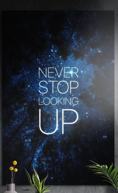 Deep blue starry sky quote brushed aluminum wall art in blue and black on a dark gray wall above potted plants
