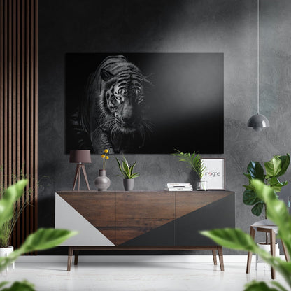 Eye of the Tiger metal wall art print