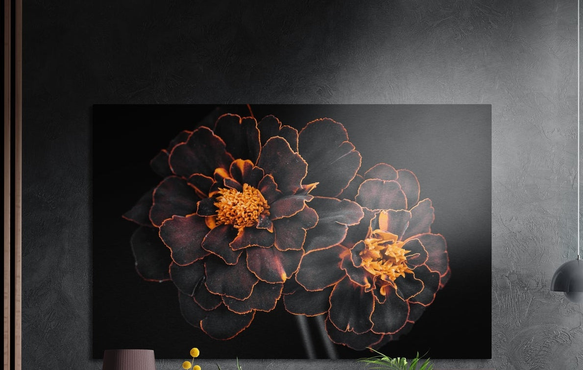 Dark orange blossoms brushed aluminum wall art on a black background, on a dark gray wall above a mauve lamp