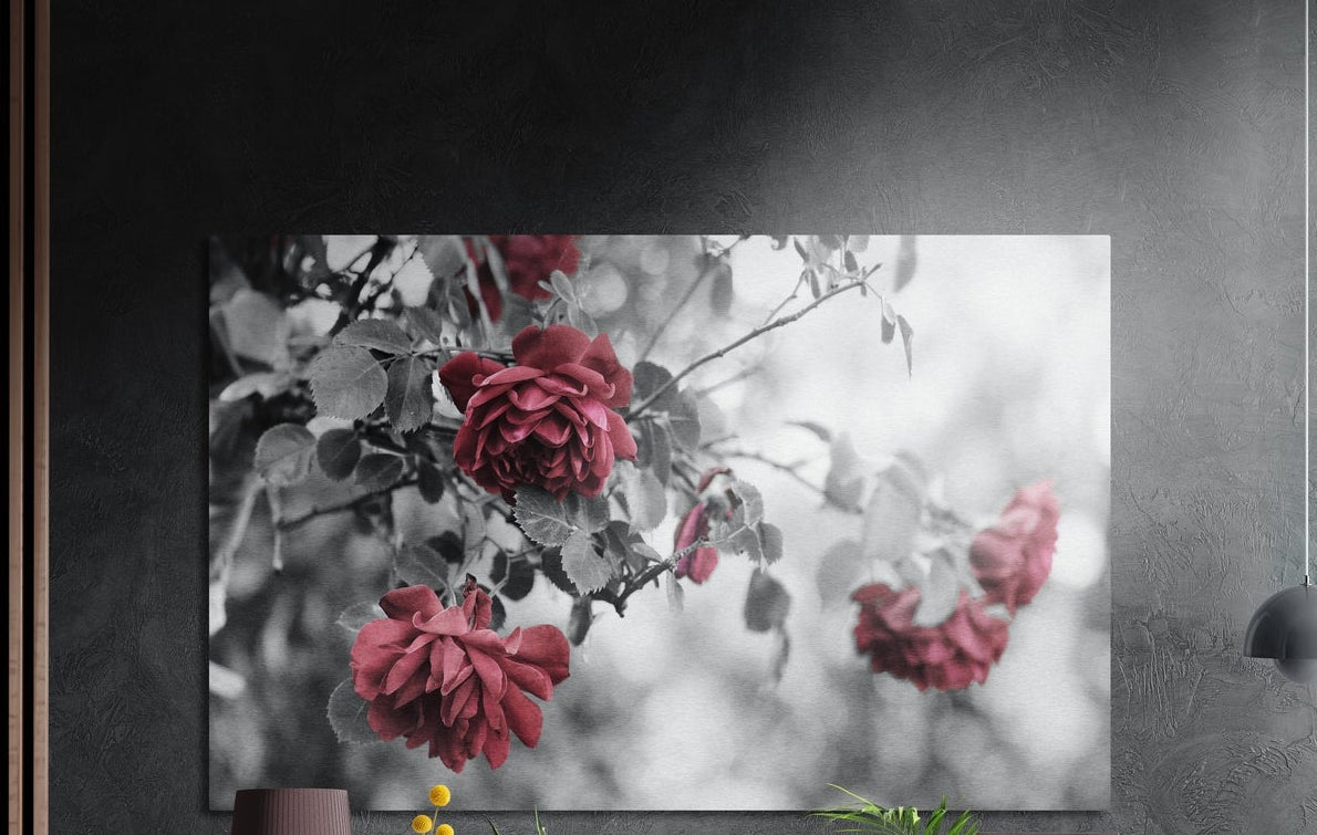 Pink roses on a gray garden branch, brushed aluminum wall art on a dark gray wall beside a black wall lamp