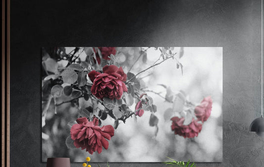 Pink roses on a gray garden branch, brushed aluminum wall art on a dark gray wall beside a black wall lamp
