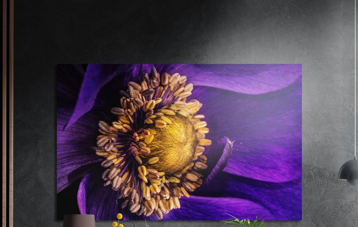 Purple flower with gold stamens, brushed aluminum wall art on a dark gray wall beside a black wall lamp