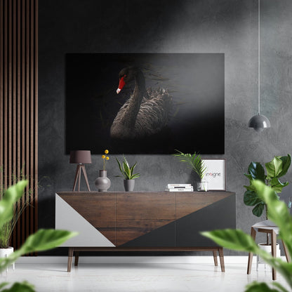 Black swan aluminum metal wall art