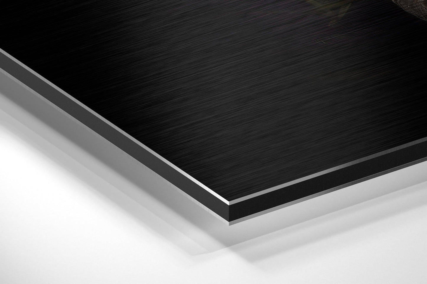 Black Swan Aluminum Wall Art