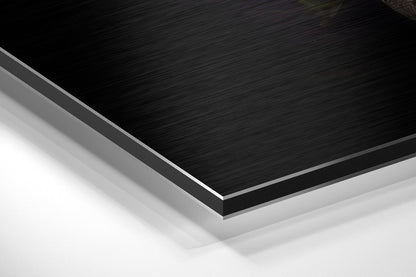 Black Swan Aluminum Wall Art