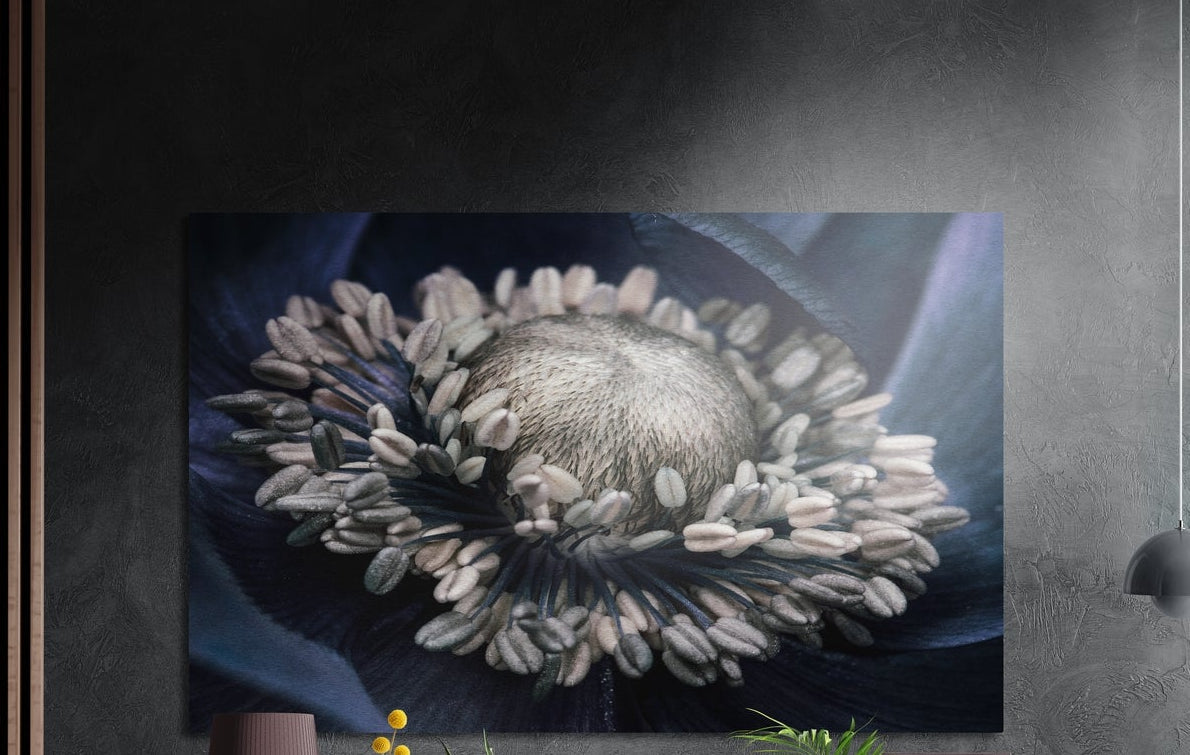 Pale ivory flower stamens on slate blue petals, brushed aluminum wall art on a dark gray wall beside a black lamp