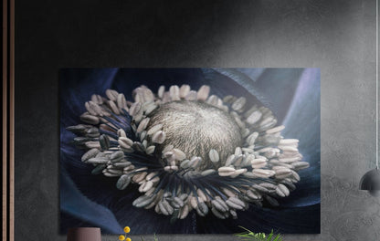 Pale ivory flower stamens on slate blue petals, brushed aluminum wall art on a dark gray wall beside a black lamp