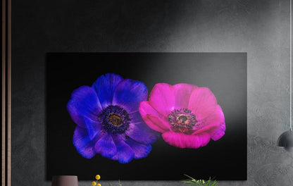 Violet and pink anemone pair brushed aluminum wall art on a dark textured wall with plants below