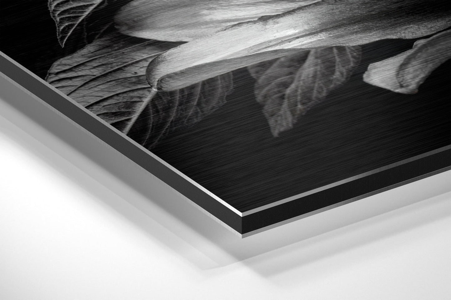 Lillium Metal Wall Art