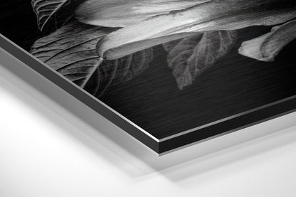 Lillium Metal Wall Art