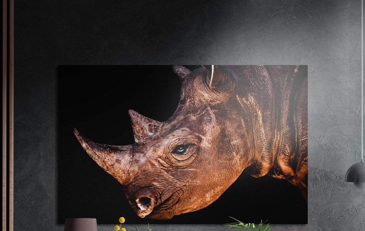 Brown rhino head with two horns on black, brushed aluminum wall art on a gray wall above a vase and a plant