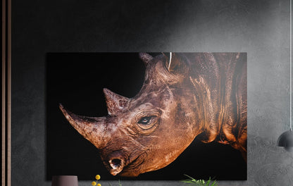 Brown rhino head with two horns on black, brushed aluminum wall art on a gray wall above a vase and a plant