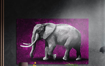 Gray elephant with white tusks in profile on a textured magenta background, brushed aluminum wall art on a dark wall