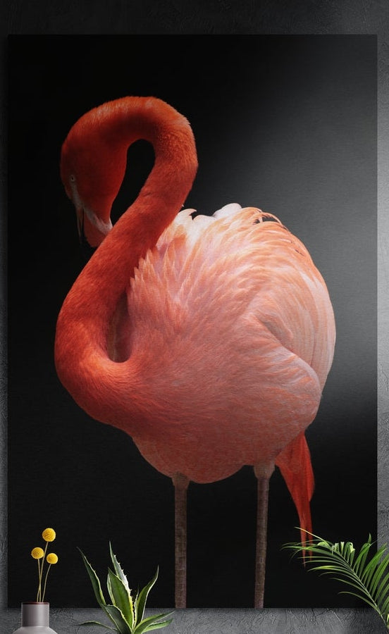 Coral flamingo on black brushed aluminum wall art on a dark wall behind a vase of yellow flowers and plants