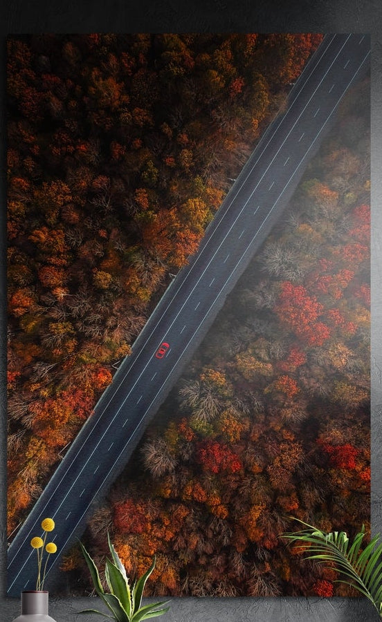 Aerial road through an autumn forest, brushed aluminum wall art on a dark gray wall above yellow flowers