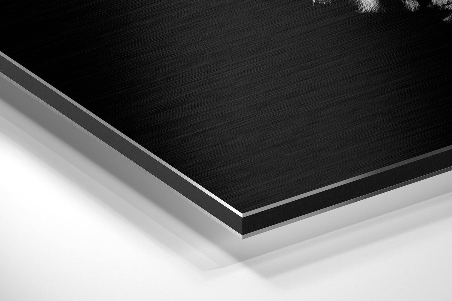 Zebra Brushed Aluminum Wall Art