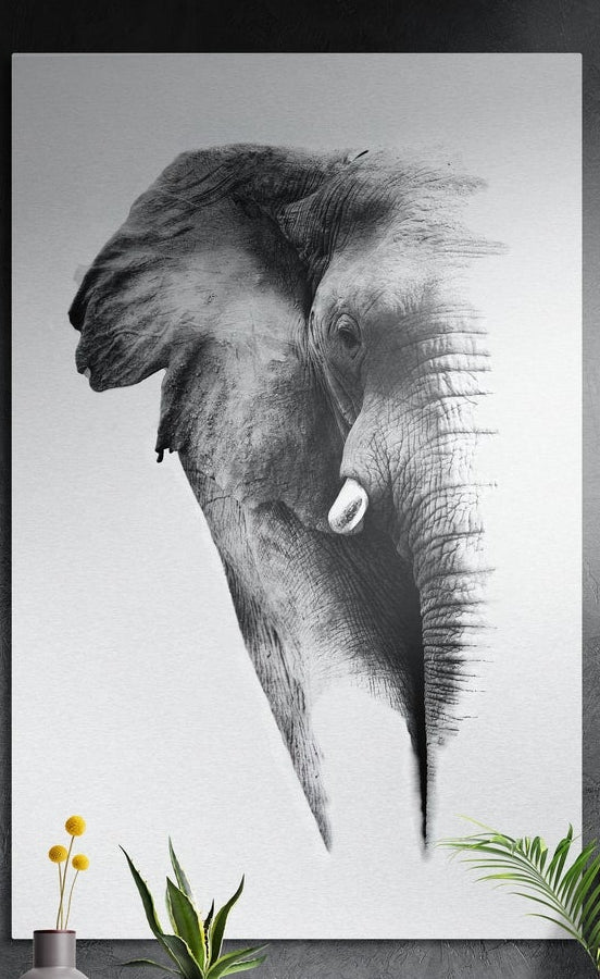 Black and white sketch of an elephant head and trunk brushed aluminum wall art on a dark gray wall above plants