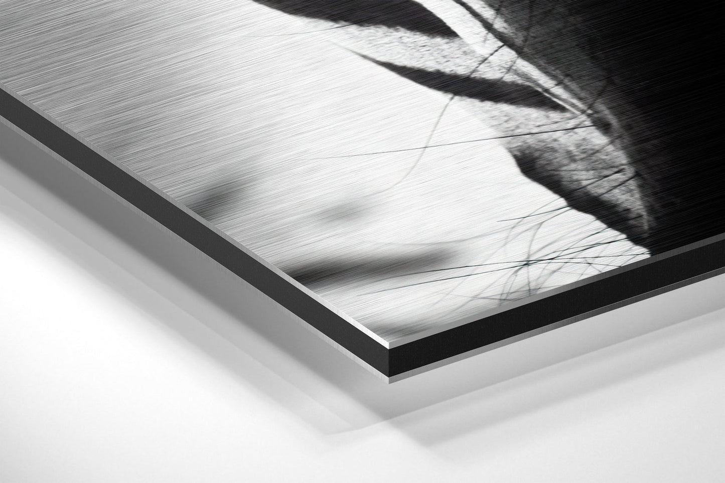 Zebra Brushed Aluminum Wall Art