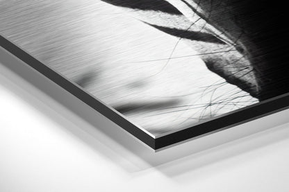 Zebra Brushed Aluminum Wall Art