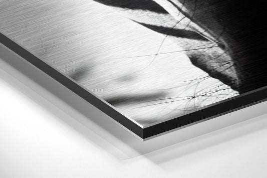 Zebra Brushed Aluminum Wall Art