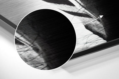 Zebra Brushed Aluminum Wall Art
