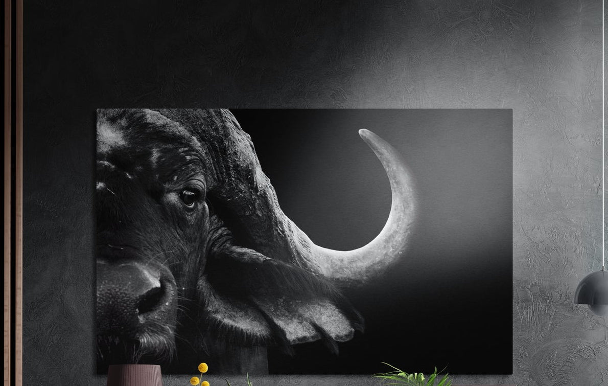 Black and white buffalo portrait brushed aluminum wall art on a dark wall above the tips of potted plants