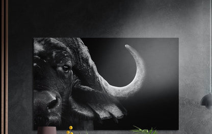 Black and white buffalo portrait brushed aluminum wall art on a dark wall above the tips of potted plants