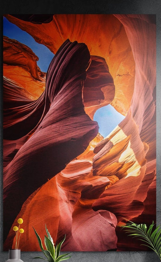 Orange slot canyon brushed aluminum wall art on a dark gray wall with plants in front of its lower edge