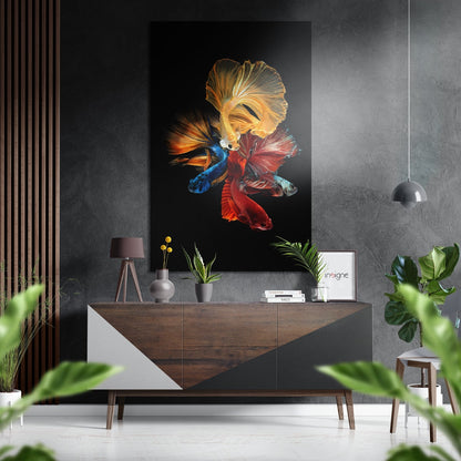 Bettas metal wall art on brushed aluminum dibond