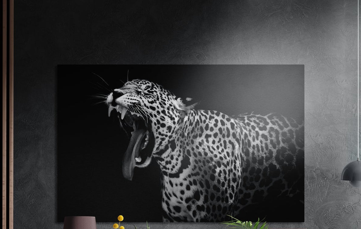 Black and white leopard with open jaws roaring toward the left on a dark background, brushed aluminum wall art on a dark wall