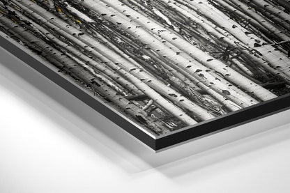 Forest Metal Wall Art