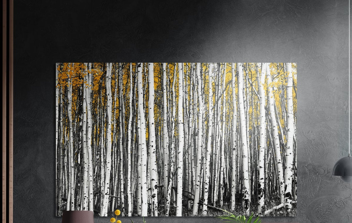 Yellow birch forest brushed aluminum wall art on a dark gray wall above a sideboard with a vase and plants