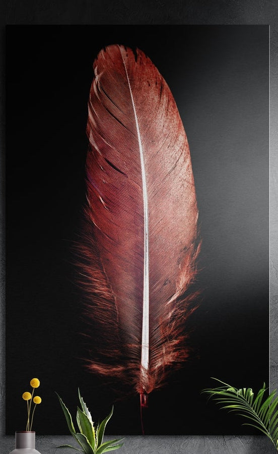 Crimson red feather on black brushed aluminum wall art on a dark wall behind yellow flowers and green plants