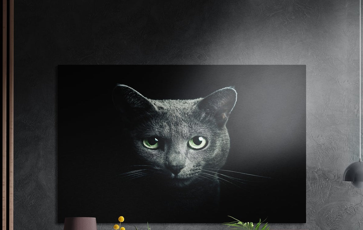 Gray cat with green eyes in the dark brushed aluminum wall art on a dark textured wall above potted plant tops