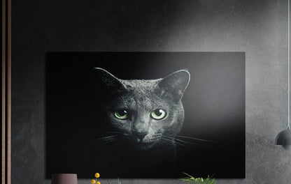 Gray cat with green eyes in the dark brushed aluminum wall art on a dark textured wall above potted plant tops