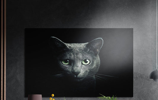 Gray cat with green eyes in the dark brushed aluminum wall art on a dark textured wall above potted plant tops