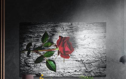 Red rose on gray weathered wood bark, brushed aluminum wall art on a dark gray wall beside a black wall lamp