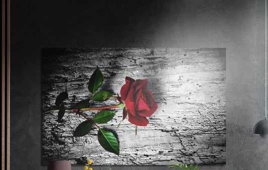 Red rose on gray weathered wood bark, brushed aluminum wall art on a dark gray wall beside a black wall lamp